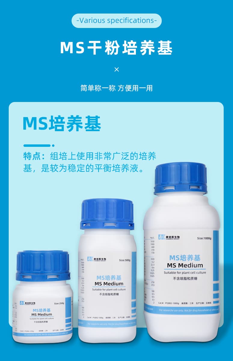 Môi trường MS Trung Quốc - 2