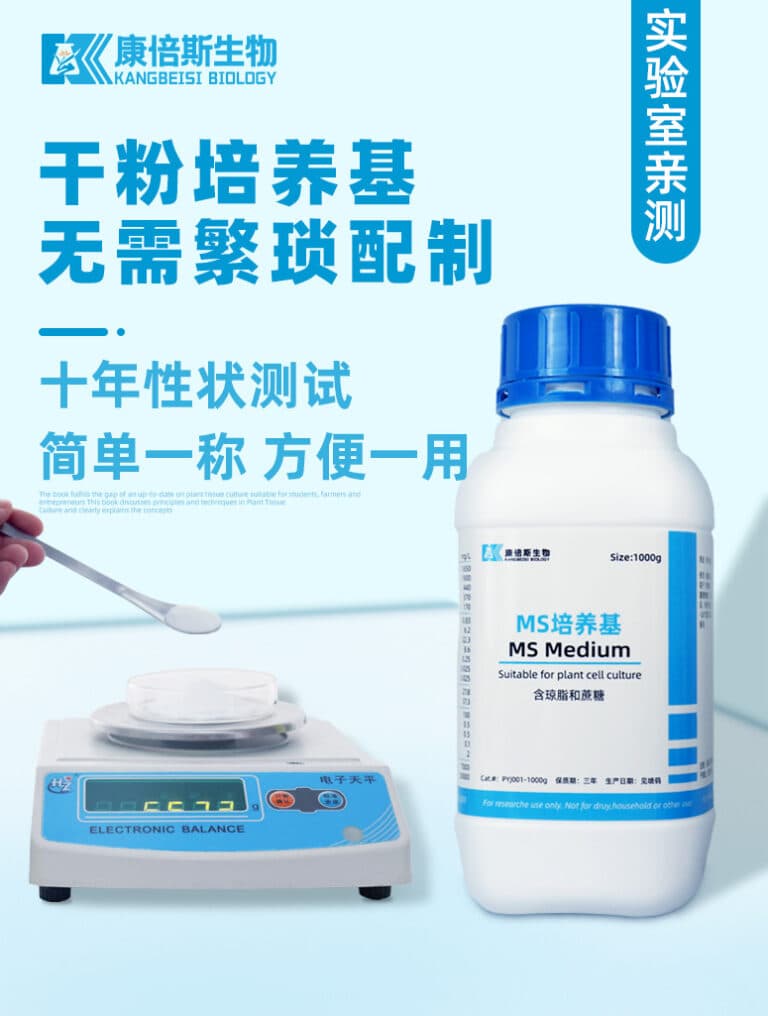 Môi trường MS Trung Quốc