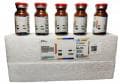 CHROMOGENIC ENRICHMENT SUPPLEMENT
